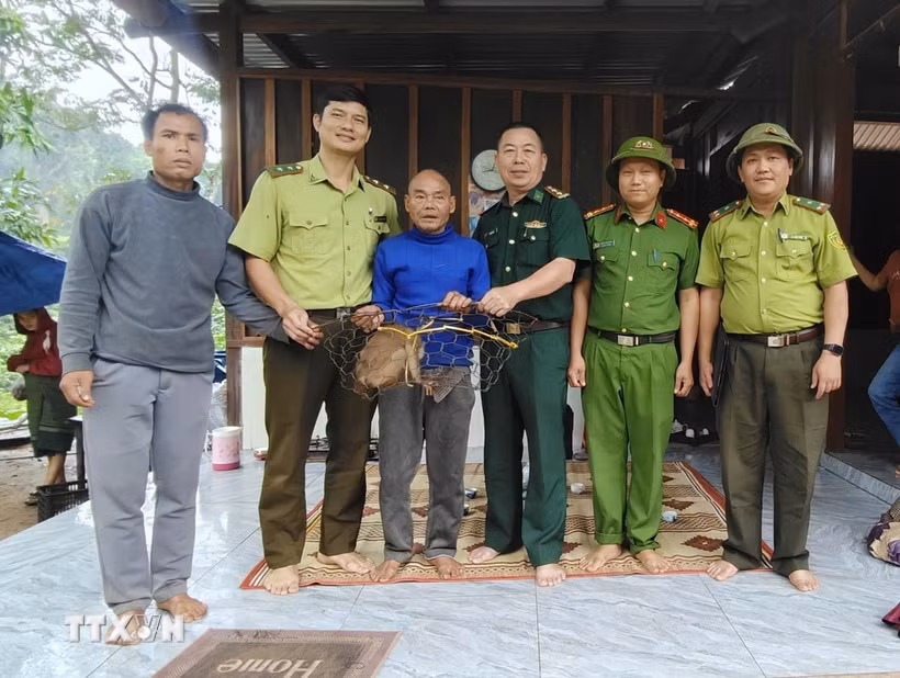 Người dân tự nguyện giao nộp cá thể khỉ đuôi lợn nhóm IIB cho các lực lượng chức năng. (Ảnh: TTXVN phát)