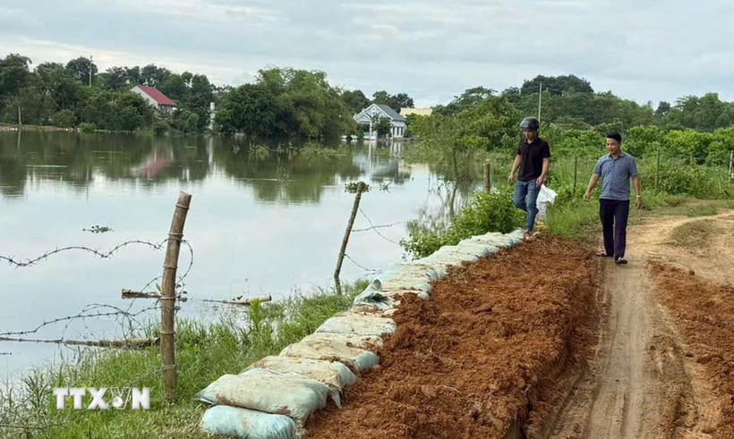 Đê tả sông Hoàng đoạn chảy qua xã Triệu Sơn xảy ra sự cố phát hiện hố sụt và nguy cơ tràn đê. Chính quyền địa phương đã kịp thời khắc phục. (Ảnh: Nguyễn Nam/TTXVN)