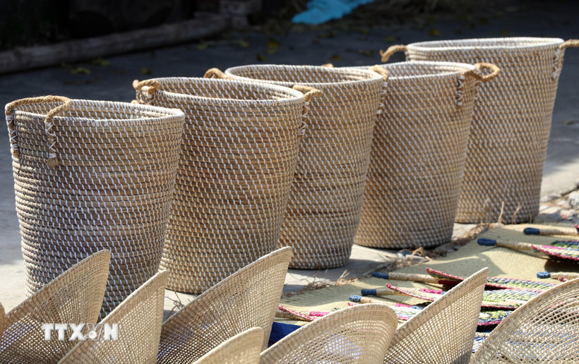 Người dân Kim Sơn sáng tạo ra các sản phẩm mới, đa dạng từ cói để đáp ứng nhu cầu của thị trường. (Ảnh: Thùy Dung/TTXVN)