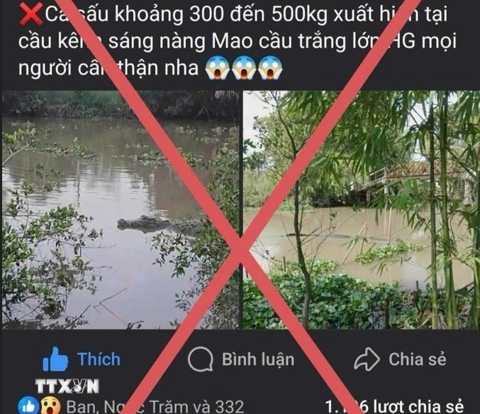 Tài khoản Facebook mang tên N.H.T đăng tải thông tin cá sấu nặng 300-500kg xuất hiện trên kênh xáng Nàng Mau (Hậu Giang) là sai sự thật. (Ảnh: TTXVN phát)