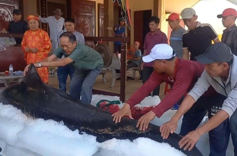 Người dân xã Bình Hải, huyện Bình Sơn thực hiện nghi thức an táng cá ông. (Ảnh: TTXVN)