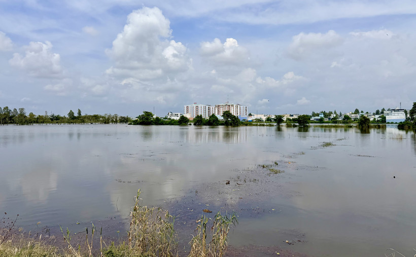 Đồng ruộng cặp tuyến tránh Long Xuyên (phường Long Xuyên, tỉnh An Giang) ngập sâu trong nước do triều cường dâng cao. (Ảnh: Thanh Sang/TTXVN)