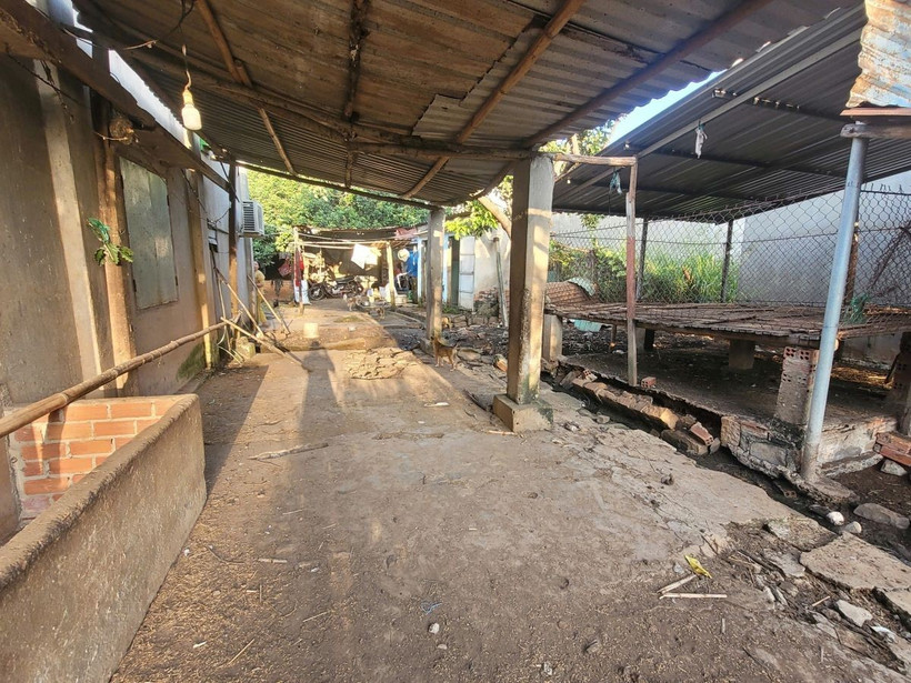 Một cơ sở chăn nuôi bò và dê tại ấp Nam, xã Hòa Long, thành phố Bà Rịa đã chấm dứt hoạt động chăn nuôi do nằm ngoài vùng quy hoạch. (Ảnh: Hoàng Nhị/TTXVN)