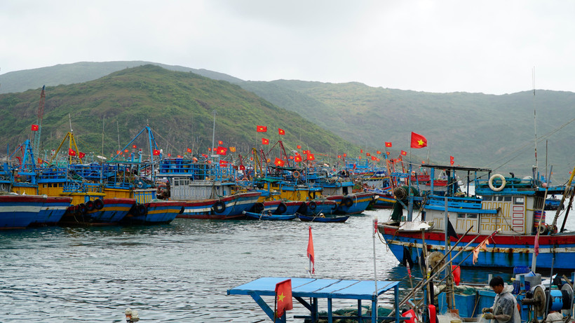 Tàu cá Gia Lai neo đậu tại bờ để ngư dân thực hiện quyền và nghĩa vụ cử tri. (Ảnh: Đình Quân/TTXVN)