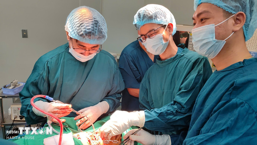 Các bác sỹ Bệnh viện Hữu nghị Việt Nam – Cuba Đồng Hới (Quảng Trị) phẫu thuật cấp cứu thành công trường hợp bệnh nhân có vết thương nghiêm trọng, phức tạp vùng cổ. (Ảnh: TTXVN phát)