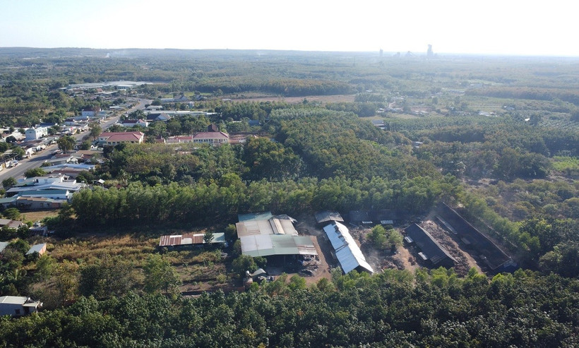 Các lò than gây ô nhiễm kéo dài nhiều năm qua tại ấp Hưng Thịnh, xã Lộc Thịnh (Lộc Ninh, Bình Phước). (Ảnh: Đậu Tất Thành/TTXVN)