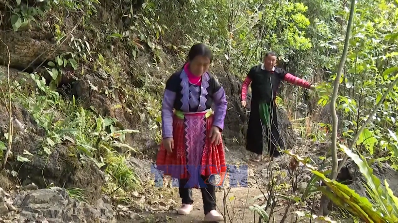 Người Mông Pà Cò giữ rừng để phát triển du lịch bền vững