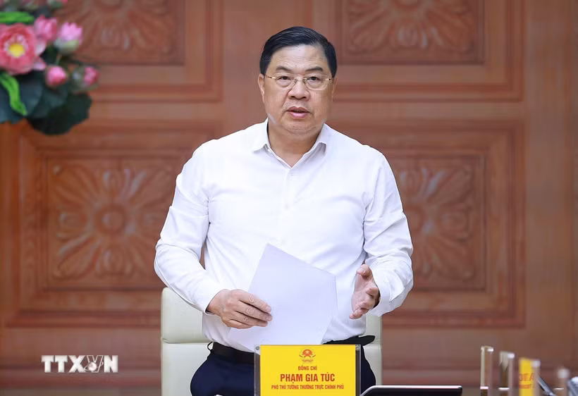 Phó Thủ tướng Thường trực Phạm Gia Túc. (Ảnh: Dương Giang/TTXVN)