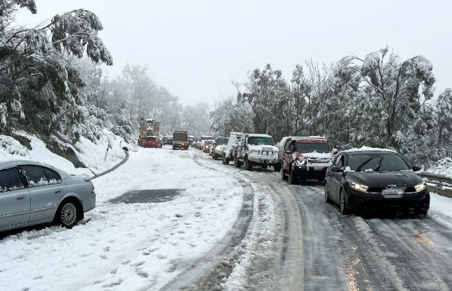 Tuyết rơi dày chưa từng có trong nhiều thập kỷ. (Nguồn: The Watchers)