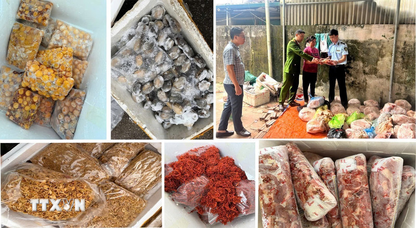 Chủ cơ sở thừa nhận, số hàng hoá trên được thu mua trôi nổi trên thị trường với giá thành rẻ, sau đó mang về cấp đông và chủ yếu bán cho các quán nướng vỉa hè, quán lẩu, quán nhậu, quán ăn vặt… (Ảnh: TTXVN phát)