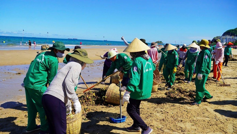 Huy động lực lượng thu gom rác tại bãi Sau, thành phố Vũng Tàu. (Ảnh: Đoàn Mạnh Dương/TTXVN)