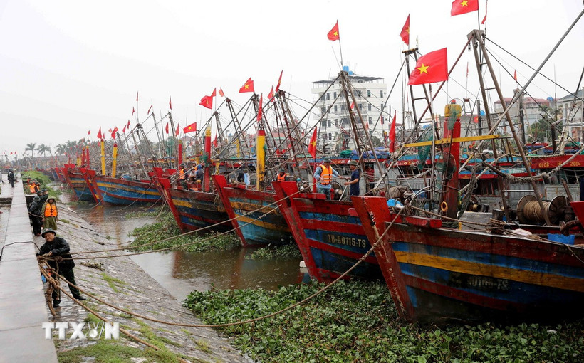 Cảng cá Tân Sơn, xã Thái Thụy (Hưng Yên). (Ảnh: Thế Duyệt/TTXVN)