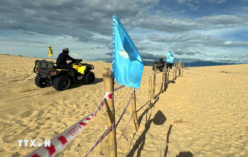 Hàng cọc tre, dây giăng được dựng lên tại đồi cát Quang Phú (ảnh chụp sáng 16/7). (Ảnh: TTXVN)