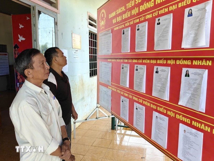 Đảng viên và cử tri thôn Sơn Trung (xã Phú Nghĩa) tìm hiểu tiểu sử đại biểu ứng cử. (Ảnh: K GỬIH/TTXVN)