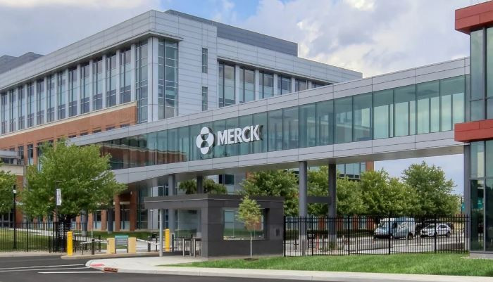 Ảnh minh họa. (Nguồn: AFP)