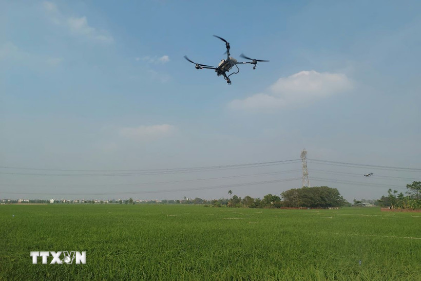 Thiết bị bay không người lái. Ảnh minh họa. (Ảnh: Bích Hồng/TTXVN)