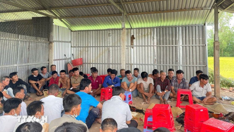 Các đối tượng bị tạm giữ về hành vi tổ chức đánh bạc. (Ảnh: TTXVN phát)