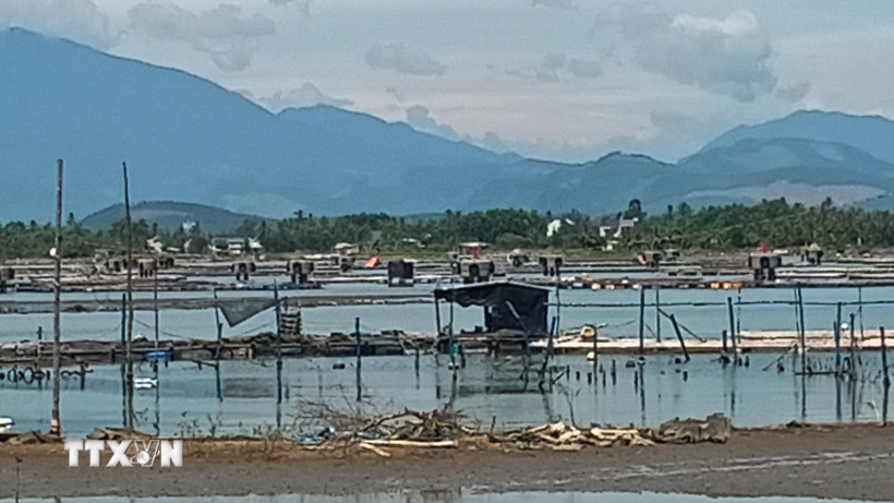 Khu neo đậu có diện tích vùng nước rộng 104 ha, trong đó có 52 ha được nạo vét ở cao trình từ 2,5m đến 4,5m. (Ảnh: Đoàn Hữu Trung/TTXVN)