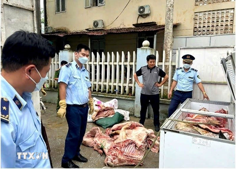 Đội Quản lý thị trường số 3 phối hợp với Công an xã Vĩnh Hảo và cơ quan Thú y huyện Bắc Quang kiểm tra đột xuất địa điểm kinh doanh do ông Trần Xuân Chiến làm chủ, có địa chỉ thôn Vĩnh Sơn, xã Vĩnh Hảo, huyện Bắc Quang phát hiện 648 kg sản phẩm là thịt lợn không có hóa đơn, chứng minh nguồn gốc hợp pháp. (Ảnh: TTXVN phát)