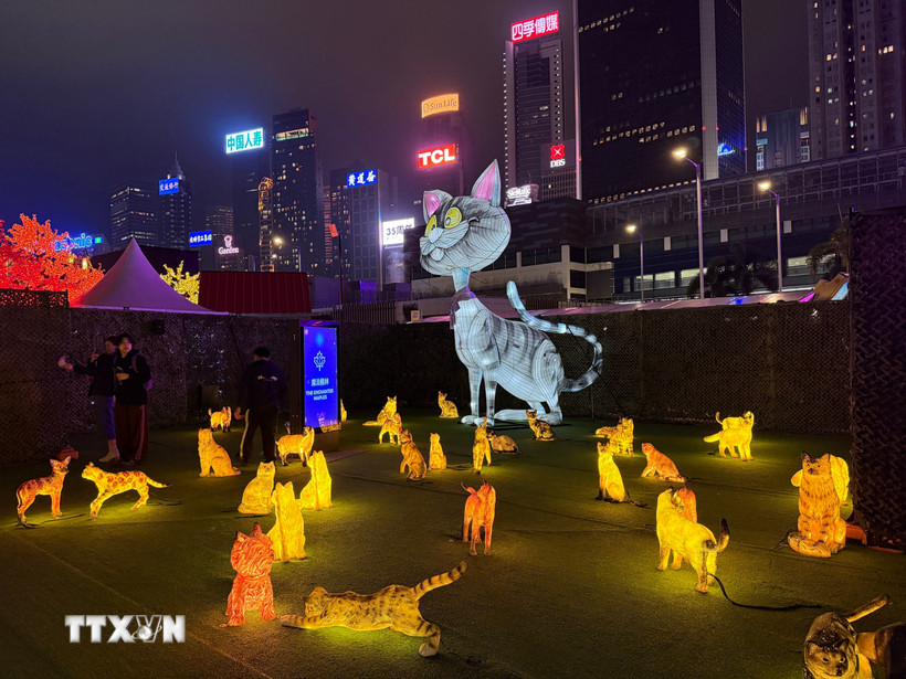 Không gian của lễ hội lung linh huyền ảo. (Ảnh: Mạc Luyện/TTXVN)