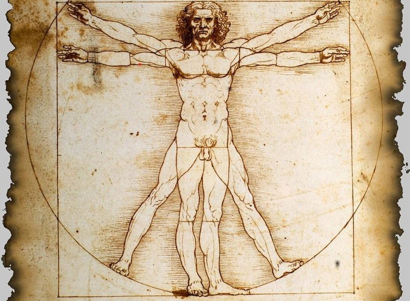 Bức họa “The Vitruvian Man” 