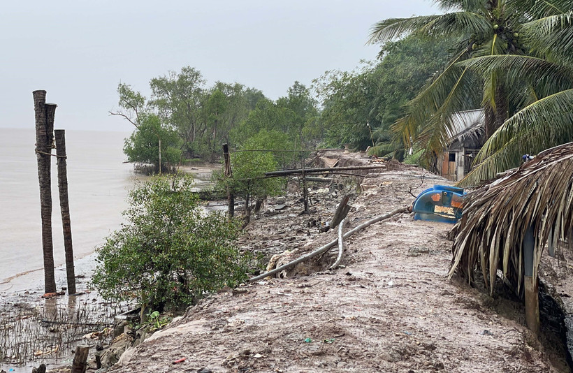 Tuyến đê bao ở ấp Mỹ Hiệp A, xã Nhị Long (Vĩnh Long) bị sạt lở nghiêm trọng. (Ảnh: Thanh Hòa/TTXVN)