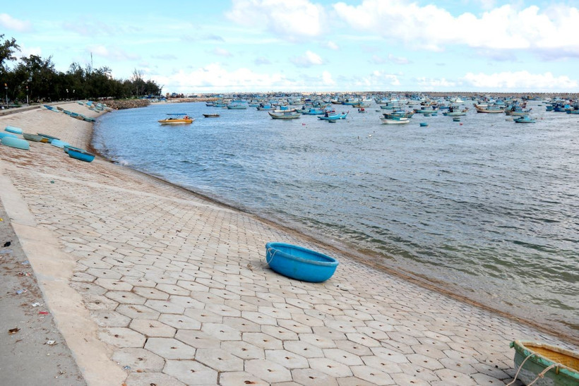 Tàu cá trong Khu neo đậu tránh trú bão của đặc khu Phú Quý. (Ảnh: Nguyễn Thanh/TTXVN)