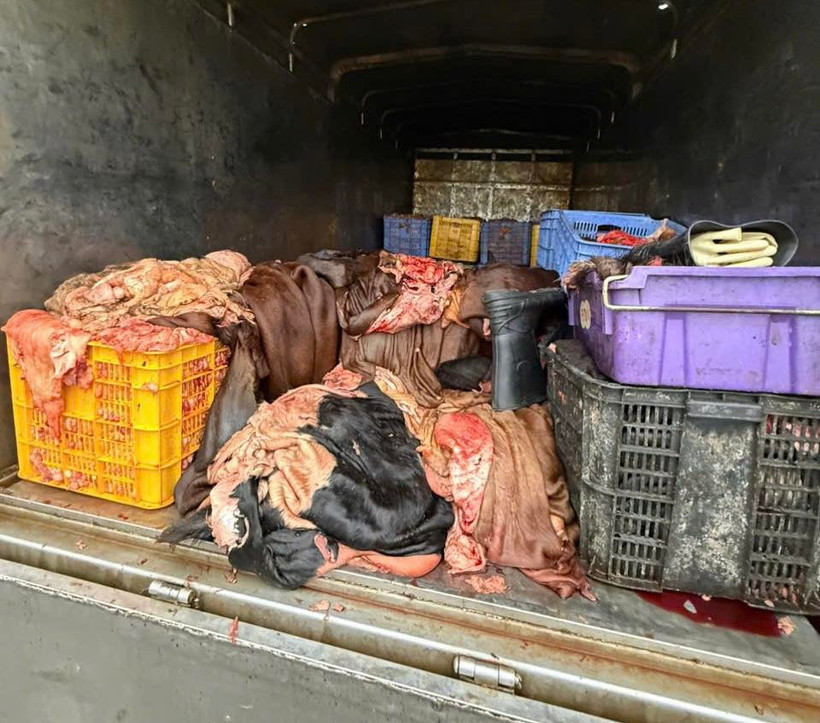 Sản phẩm động vật có dấu hiệu không bảo đảm vệ sinh thú y.