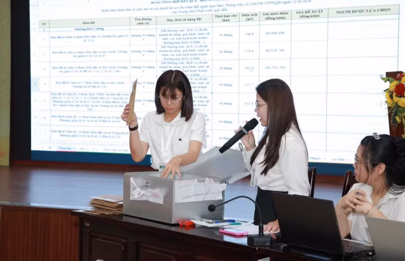 Tổ kiểm tra kiểm đếm hồ sơ đăng ký thuê đối với 15 khu đất trên địa bàn phường Hòa Cường.