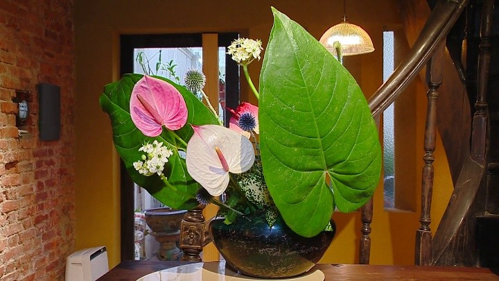 Chiêm ngưỡng Không gian Ikebana giữa lòng Thủ đô Hà Nội