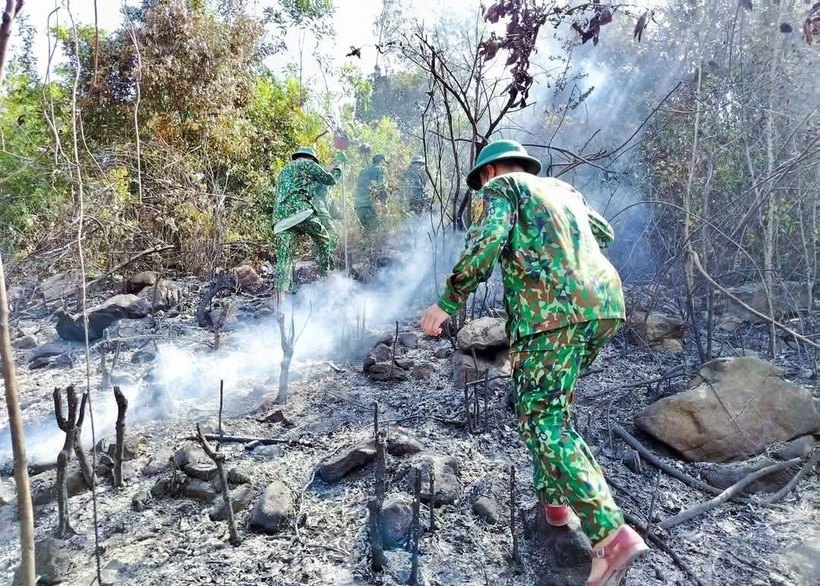 Lực lượng bộ đội biên phòng Đồn Biên phòng Quỳnh Thuận (Bộ đội Biên phòng Nghệ An) tham gia dập lửa. (Ảnh: TTXVN phát)