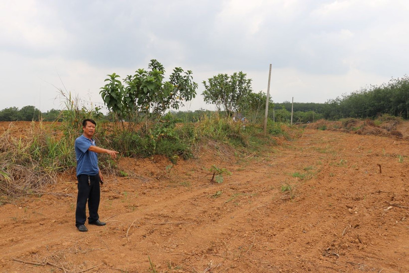 Ông Nguyễn Thành Năng ở phường Tân Xuân hiến hơn 0,6 ha đất cao su. (Ảnh: K GỬIH/TTXVN)