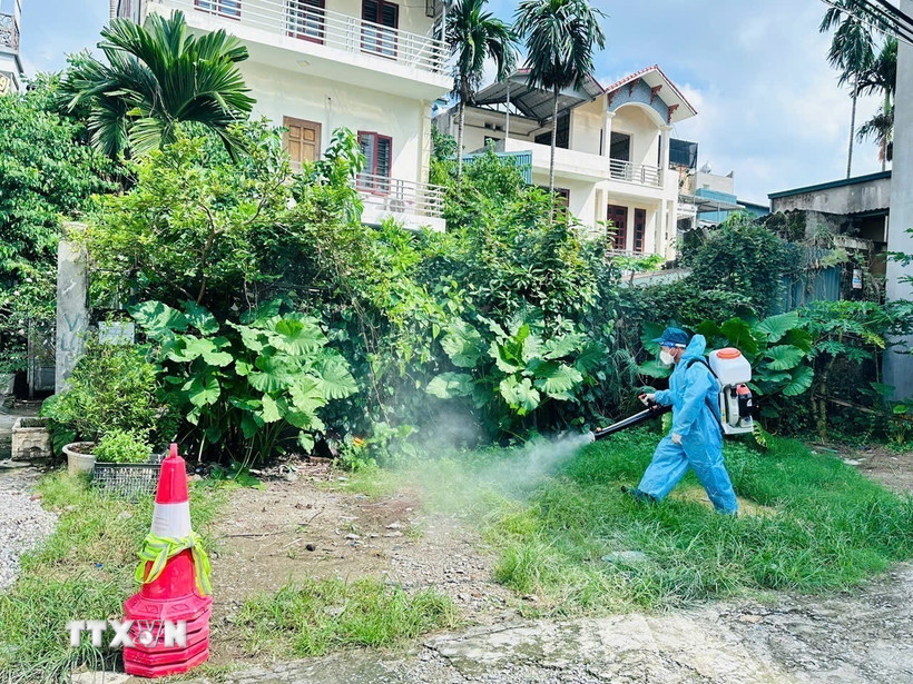 Nhân viên y tế phun hóa chất diệt muỗi tại phường Hải Dương. (Ảnh: TTXVN phát)