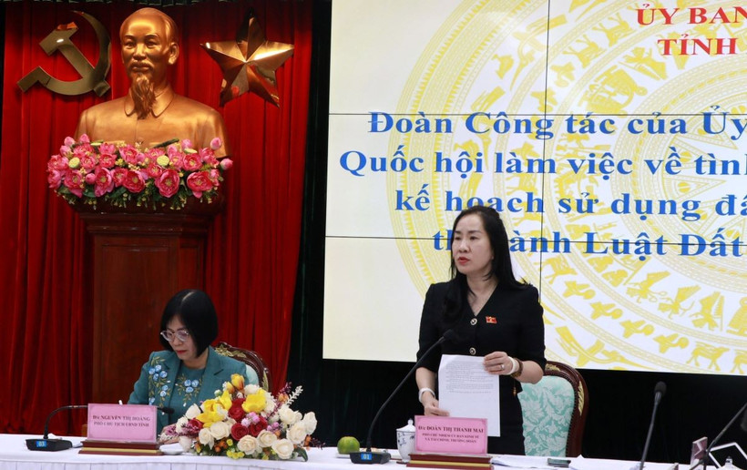 Bà Đoàn Thị Thanh Mai, Phó Chủ nhiệm Ủy ban Kinh tế và Tài chính Quốc hội phát biểu khi làm việc với tỉnh Đồng Nai. (Ảnh: Công Phong/TTXVN)