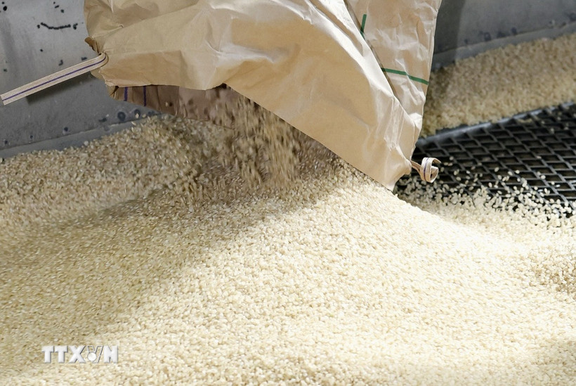 (Ảnh: Kyodo/TTXVN)