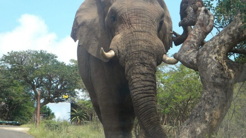 (Nguồn: News Central TV)