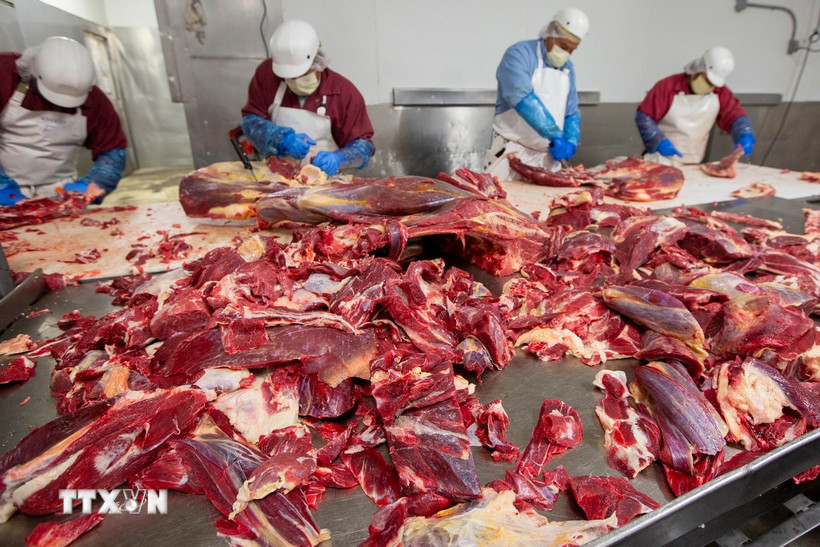 Ảnh minh họa. (Nguồn: AFP/TTXVN)