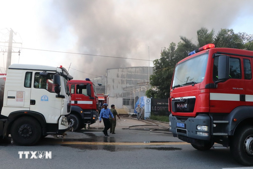 Ảnh chỉ mang tính minh họa. (Ảnh: Văn Hướng/TTXVN)