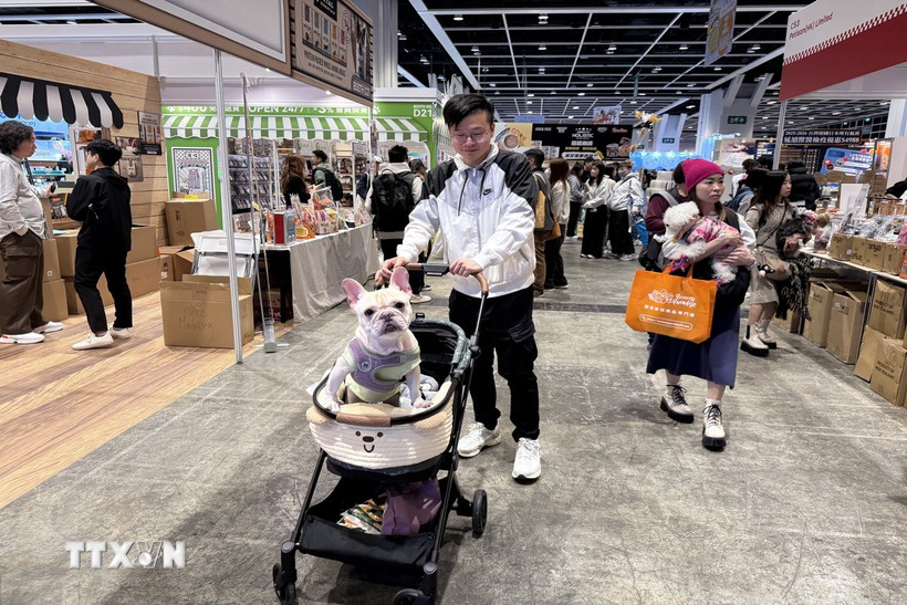 Thú cưng được đưa đi dạo tại lễ hội ở Hong Kong. (Ảnh: Mạc Luyện/TTXVN)