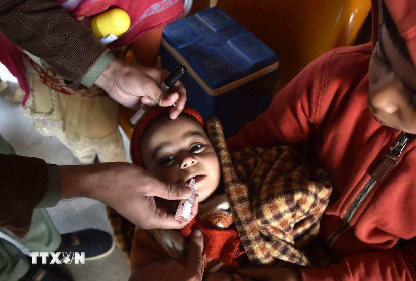 Em nhỏ uống vaccine phòng bại liệt tại Peshawar (Pakistan). (Ảnh: THX/TTXVN)