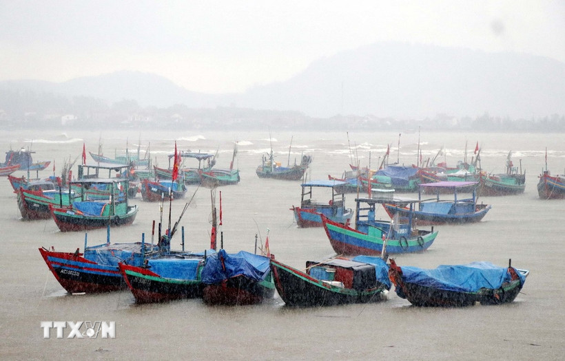 Ảnh minh họa. (Ảnh: Công Tường/TTXVN)