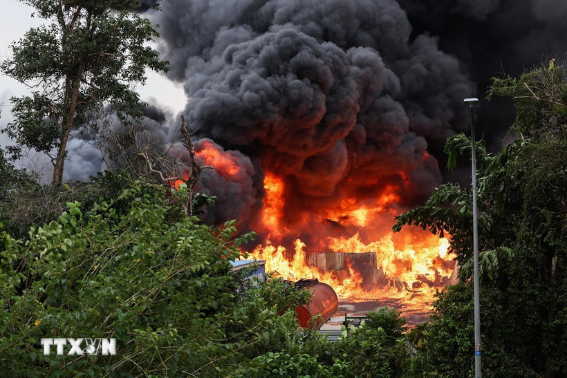 Ảnh chỉ mang tính minh họa. (Ảnh: THX/TTXVN)