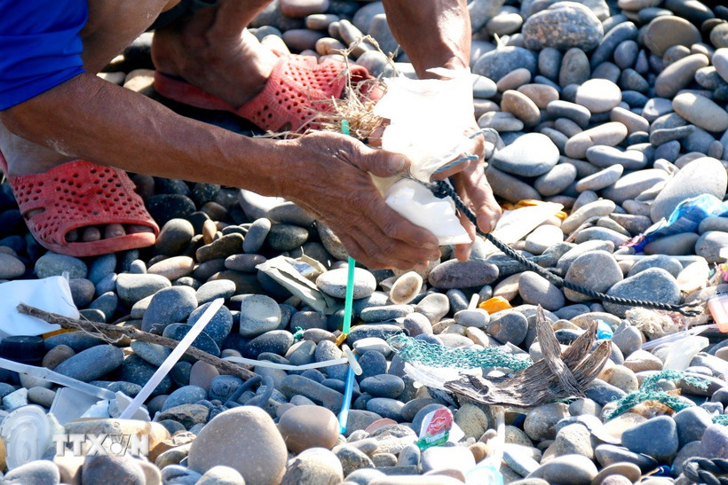 Ông Chín Tục vẫn ngày ngày thầm lặng nhặt rác ở bãi đã bảy màu. (Ảnh: Hồng Hiếu/TTXVN)