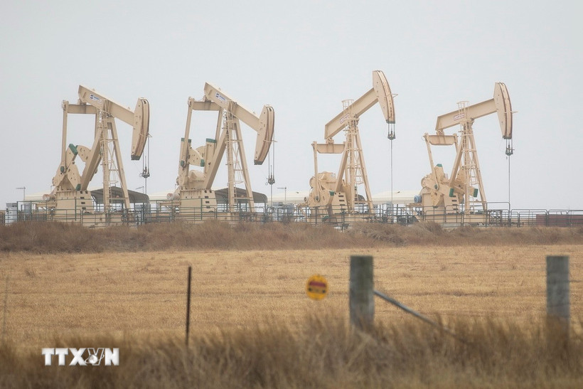 (Ảnh minh họa. THX/TTXVN)