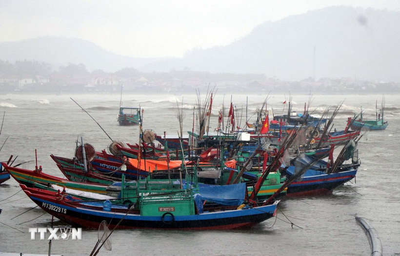 Ảnh minh họa. (Ảnh: Công Tường/TTXVN)