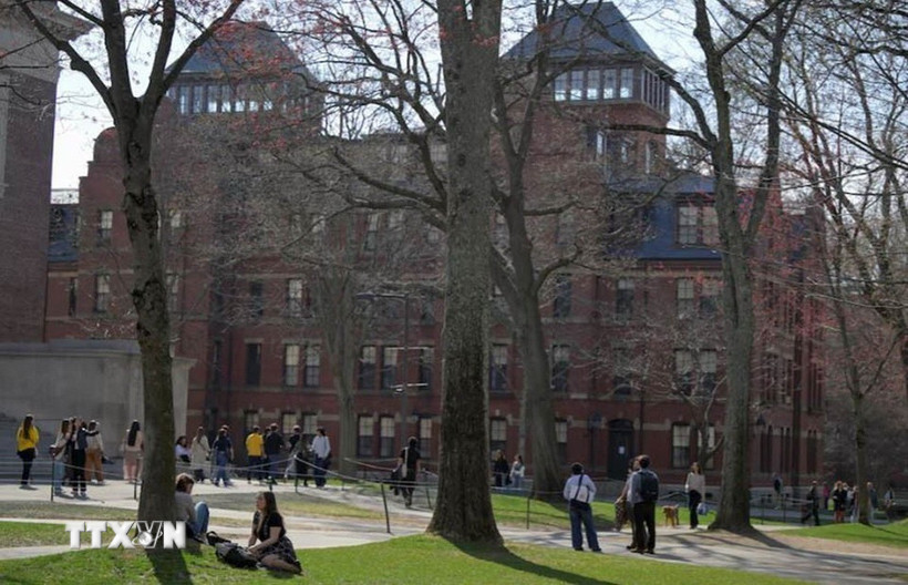 Sinh viên trong khuôn viên Đại học Harvard, ngày 15/4/2025. (Ảnh: Reuters/TTXVN)