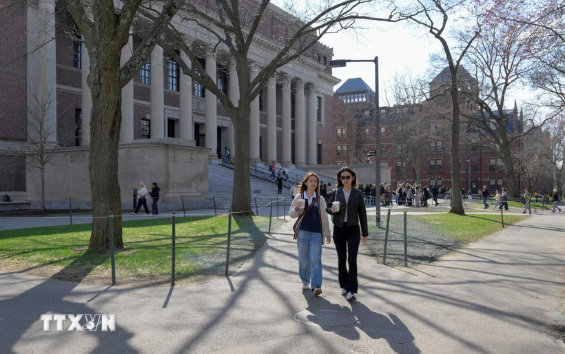 Sinh viên tại Đại học Havard. (Ảnh: Reuters/TTXVN)
