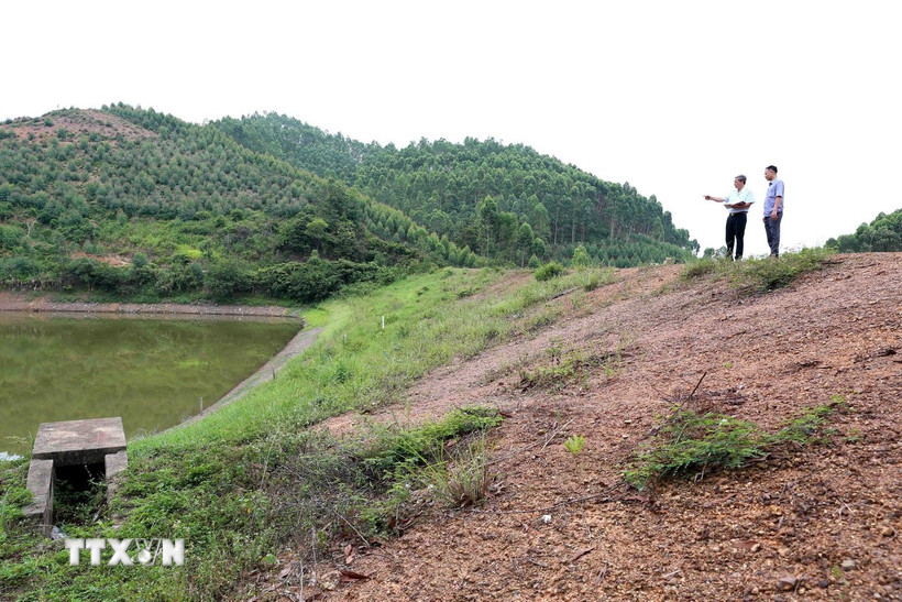 Ảnh minh họa. (Ảnh: TTXVN)