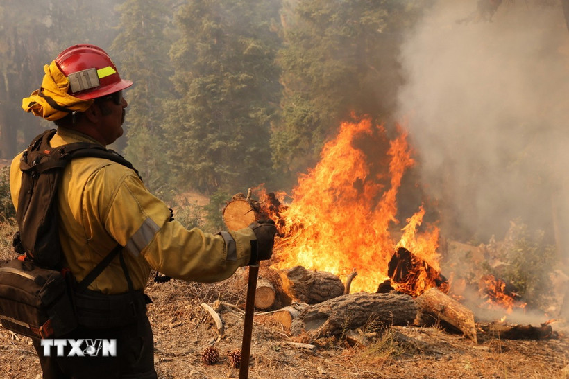 Lính cứu hỏa nỗ lực dập lửa cháy rừng tại California (Mỹ). (Ảnh: THX/TTXVN)