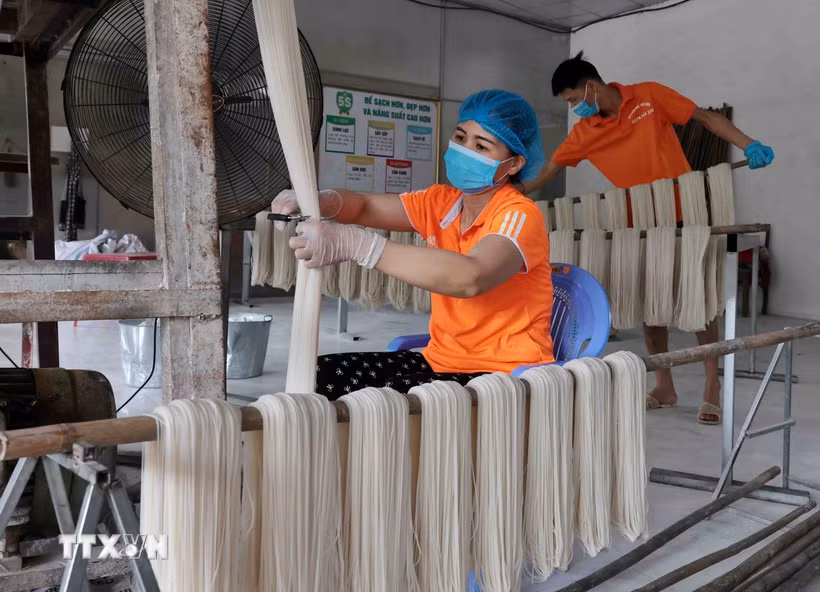 Công nhân tại một doanh nghiệp. (Ảnh: Trần Việt/TTXVN)